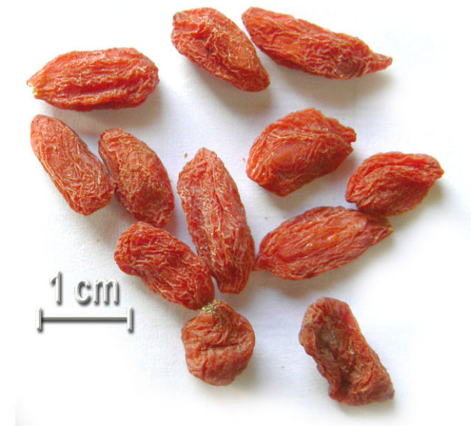 Jagody goji