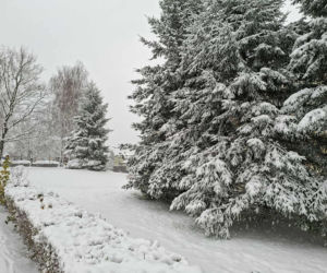 Atak zimy w Świętokrzyskiem. Śnieg i trudne warunki drogowe 23 Listopada 2025