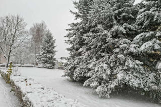 Atak zimy w Świętokrzyskiem. Śnieg i trudne warunki drogowe 23 Listopada 2025