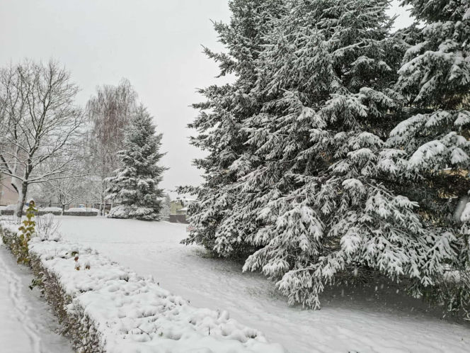 Atak zimy w Świętokrzyskiem. Śnieg i trudne warunki drogowe 23 Listopada 2025