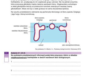 Próbna matura 2026 z biologii: Arkusze CKE, pytania i sugerowane odpowiedzi [14.01.2026]