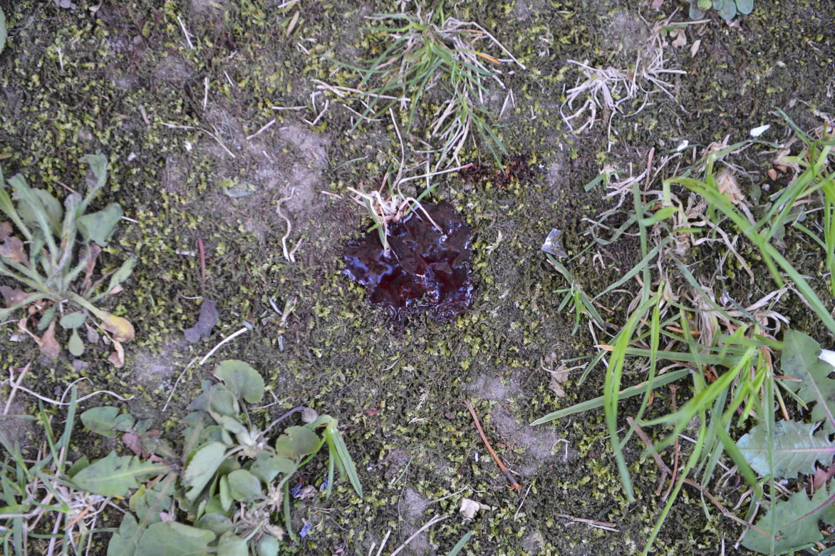 Wypadł z narkotykami z ostatniego piętra
