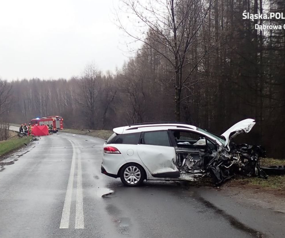 Jechał w sztok pijany. Zabił! Groźi mu do 12 lat odsiadki - ZDJĘCIA