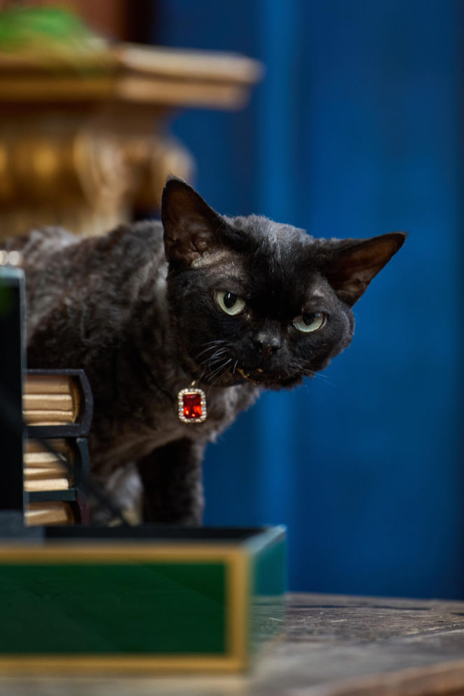 "The Traitors. Zdrajcy" sezon 3 odcinek 8