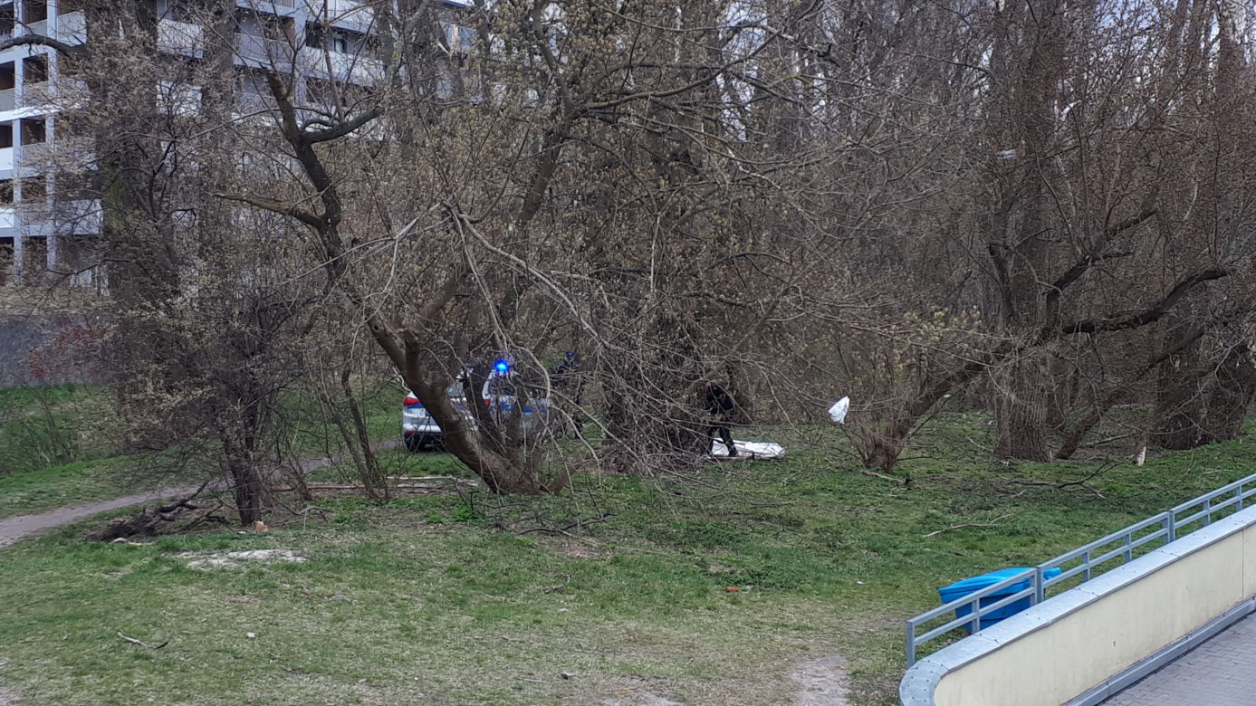 Makabra na Grochowie. Zwłoki w krzakach przy galerii handlowej