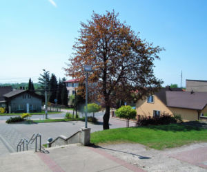 To jedno z najpiękniejszych miast w województwie śląskim. Powstało w PRL-u, wcześniej było osiedlem