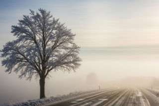 Silny mróz nad Polską. Gdzie temperatura spadnie aż do -23 stopni Celsjusza?