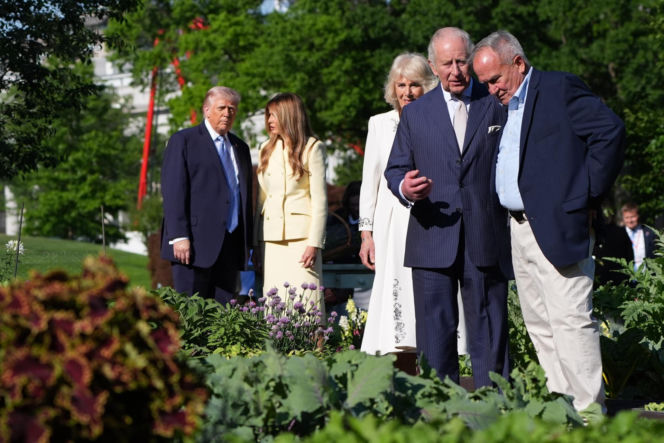 Król Karol i królowa Kamila u Trumpów. Melania dała im herbatę, a potem pokazała pasiekę w kształcie Białego Domu