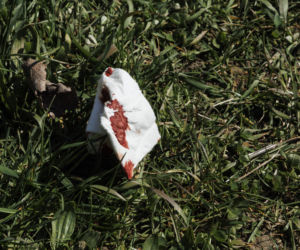 Strzelanina w Bystrzycy Kłodzkiej