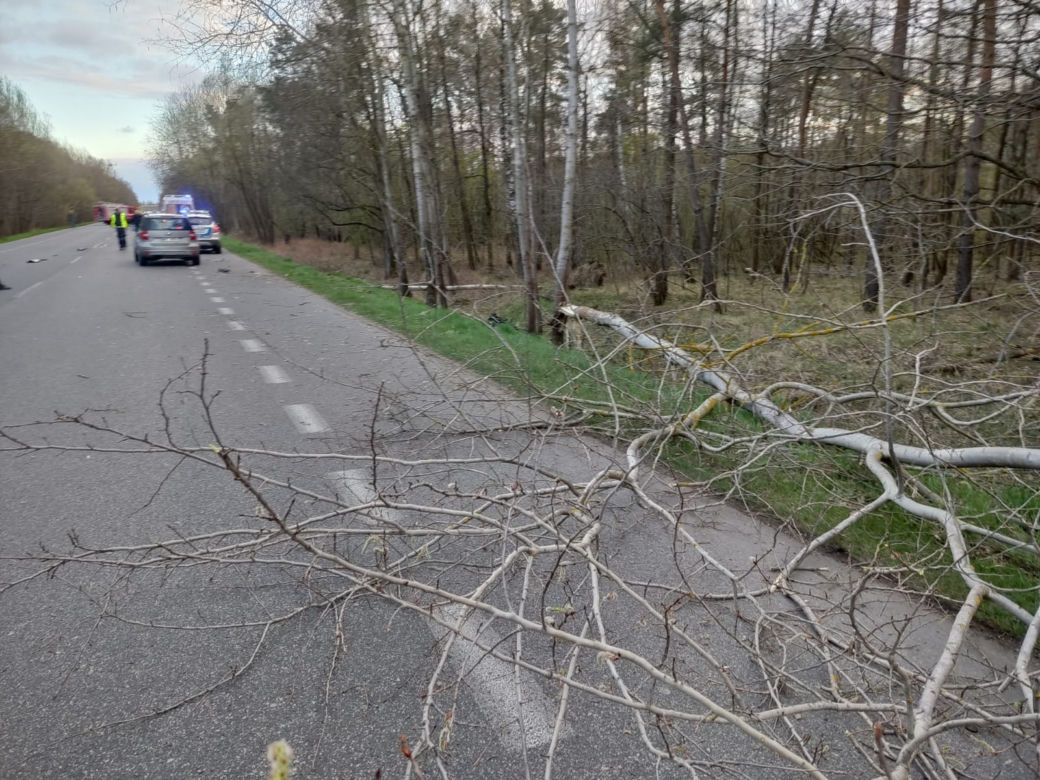 Wyszków. Przerażający widok! Motocykl rozerwany na części i złamane drzewo. Śmigłowiec zabrał kierowcę (ZDJĘCIA]