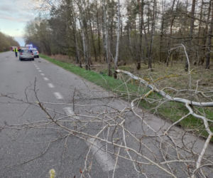 Wyszków. Przerażający widok! Motocykl rozerwany na części i złamane drzewo. Śmigłowiec zabrał kierowcę (ZDJĘCIA]