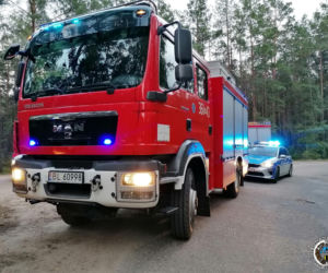 Zbójna. Opel uderzył w drzewo. Kierująca straciła panowanie nad autem [ZDJĘCIA]