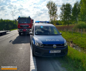 Podkarpackie. Strażacy wyciągnęli łanię z błota [GALERIA]