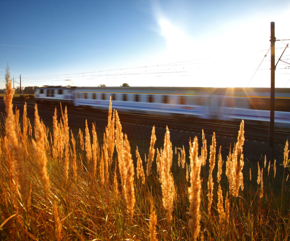 PKP Intercity