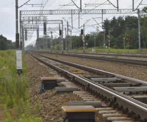 Trwają poszukiwania Dawidka z Grodziska Mazowieckiego