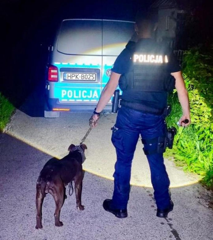  ZŁodzieje ukradli pitbulla.