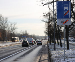 Nowy buspas w Dolinie Służewieckiej. Spóźniona rewolucja na Mokotowie i Ursynowie