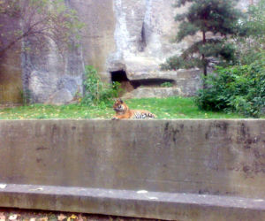 Zoo Warszawa