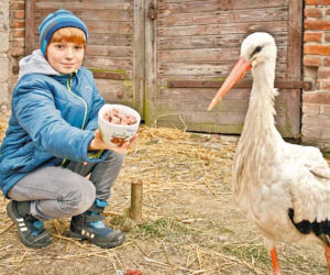 Żyję z bocianem