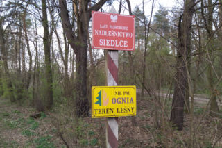 Susza grozi falą pożarów. Siedleccy leśnicy i strażacy apelują o ostrożność w lasach