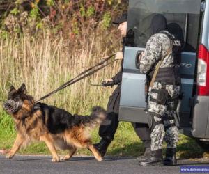Pościg za porwanym autobusem i strzelanina z terrorystami. Tak szkolą się policjanci!