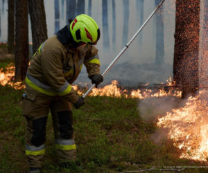 Walka z pożarem pod Biłgorajem. Szef MSWiA: „Jesteśmy umiarkowanymi optymistami”