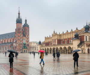 Kraków, 25 lutego 2026. J.jpg