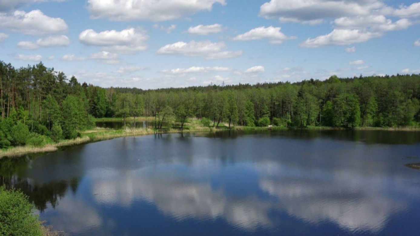 Jezioro Komosa obok miejscowości Krasne na Podlasiu