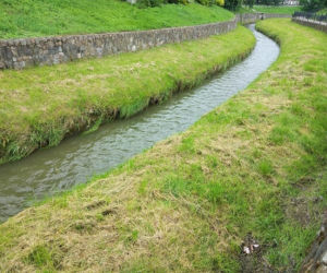 Sytuacja hydrologiczna w Tarnowie. Czy grozi nam powódź?