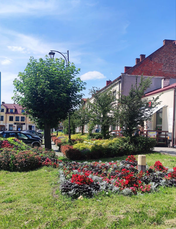 Zielony Rynek w Pińczowie
