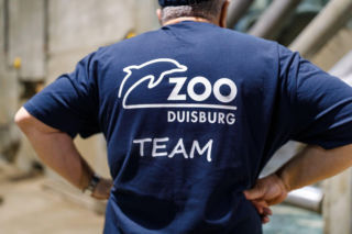 Przyjechały z Niemiec, by dołączyć do poznańskiego stada. Trzy słonice są już w zoo