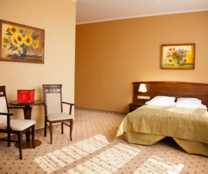 Pokój w hotelu Twardowski