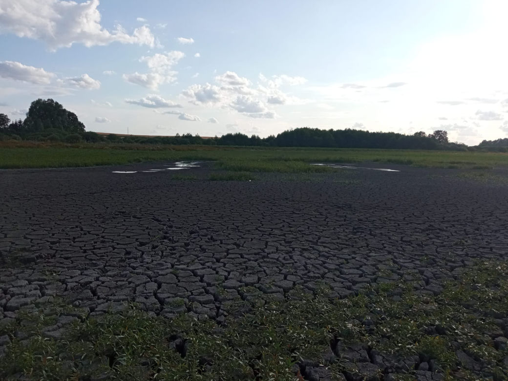 Wyschnięte jezioro w Skrzatuszu pod Piłą po miesiącu