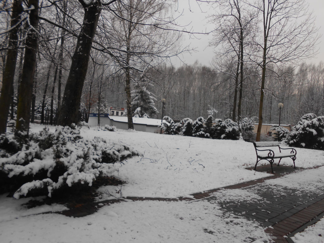 Śnieg, mróz i zimny wiatr. Do miast Śląka i Zagłębia wróciła zima!  [ZDJĘCIA]
