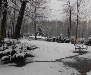 Śnieg, mróz i zimny wiatr. Do miast Śląka i Zagłębia wróciła zima!  [ZDJĘCIA]