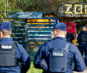 Gdzie trafiły zwierzęta z ZOO Łączna? Ujawnili nowe szczegóły akcji 
