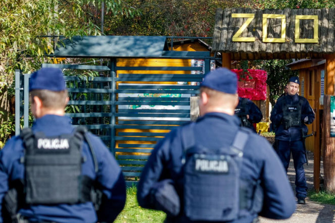 Gdzie trafiły zwierzęta z ZOO Łączna? Ujawnili nowe szczegóły akcji 