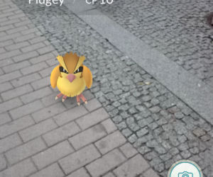 Pokemony opanowały Lublin