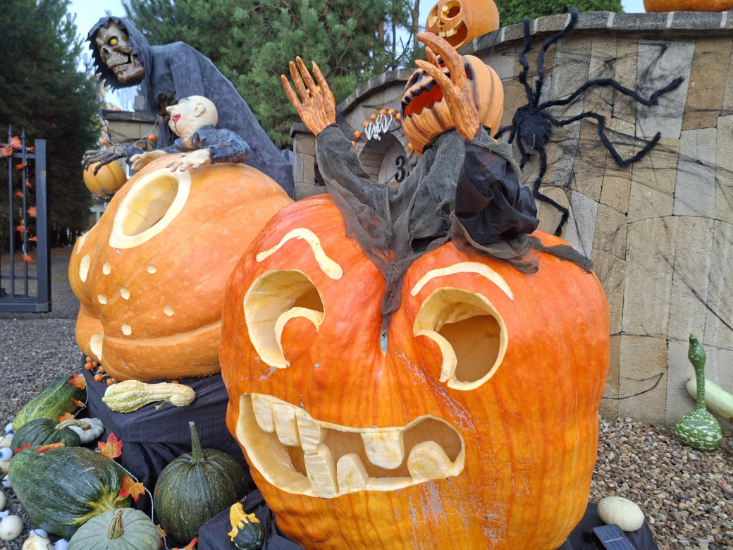 Oto najbardziej halloweenowy dom w Świętokrzyskiem!