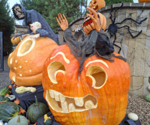 Oto najbardziej halloweenowy dom w Świętokrzyskiem!