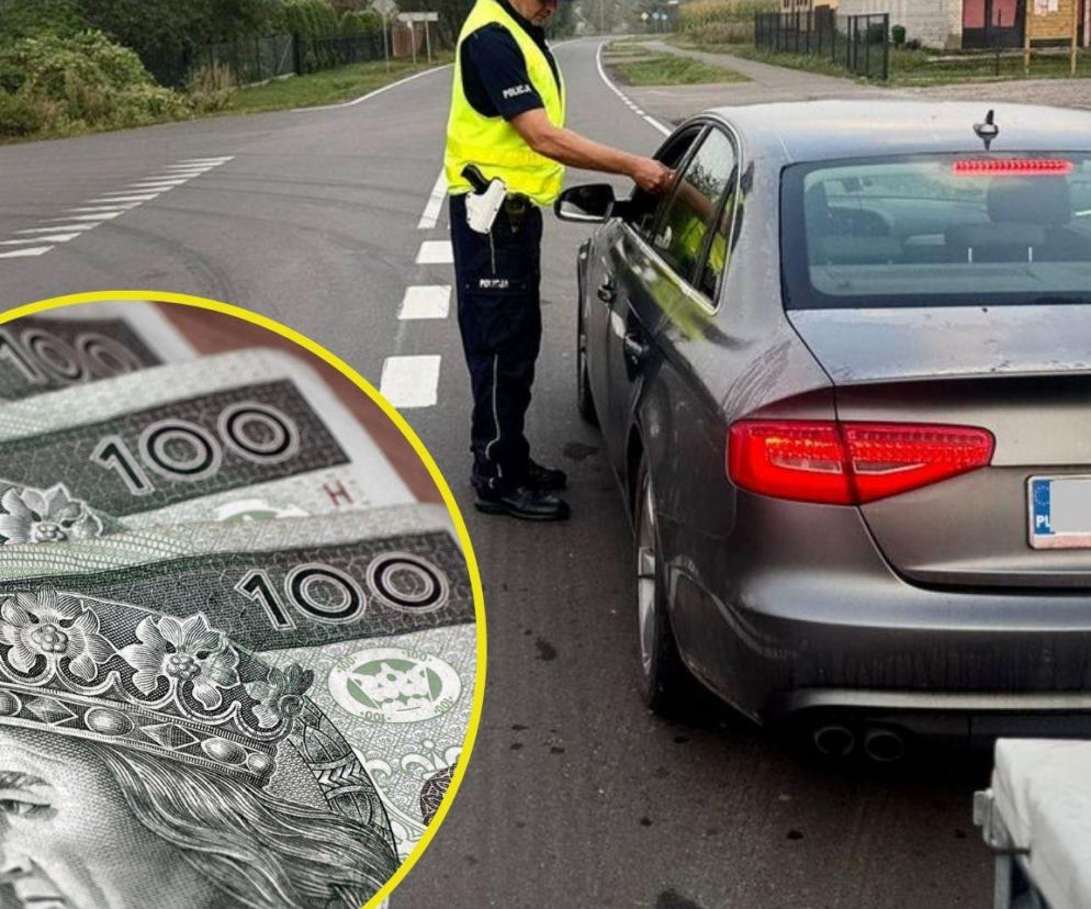 Wszystko, co musisz wiedzieć o mandatach. Kiedy możesz odmówić, a kiedy lepiej zapłacić?