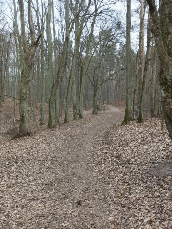 Bursztynowa Góra