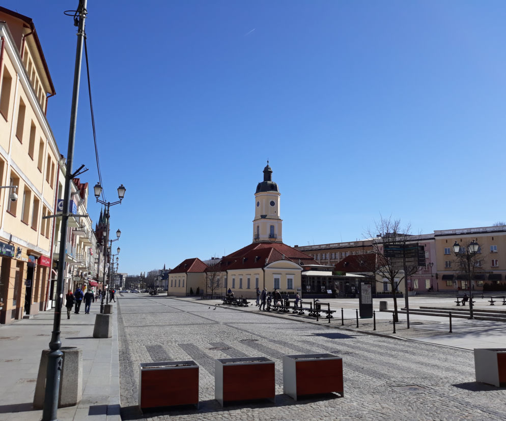 Budżet obywatelski 2021: Karetka neonatologiczna, zielone przystanki, pomniki