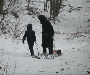 Marta Kaczyńska z synem i psami na sankach w lesie