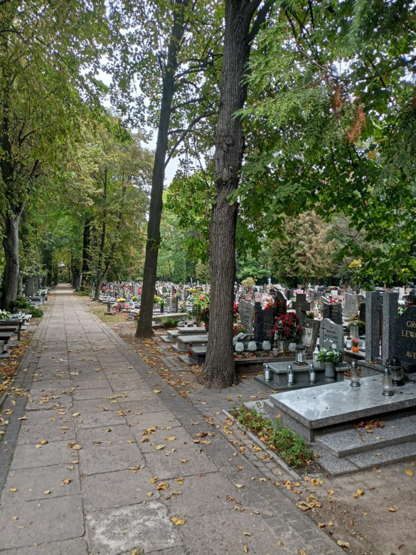 Ceny zniczy i wiązanek. Cmentarz Winiarski - Piątkowo Poznań