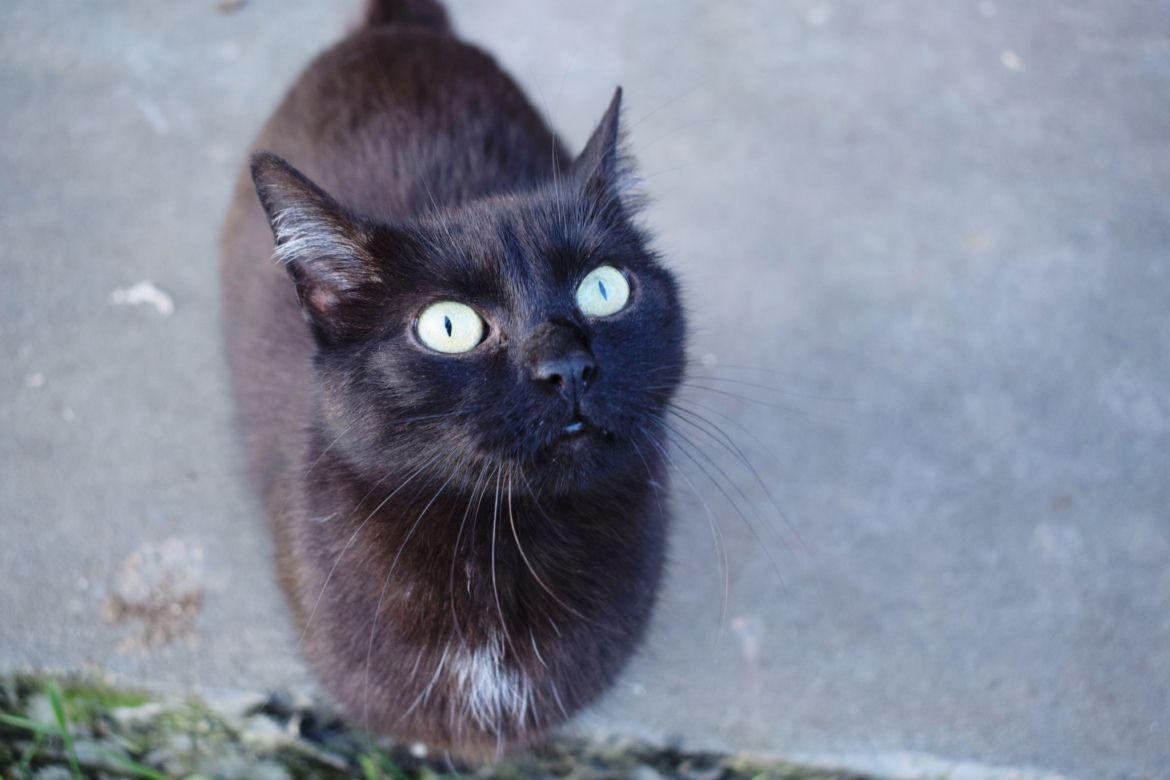 Tina