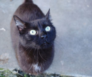 Tina