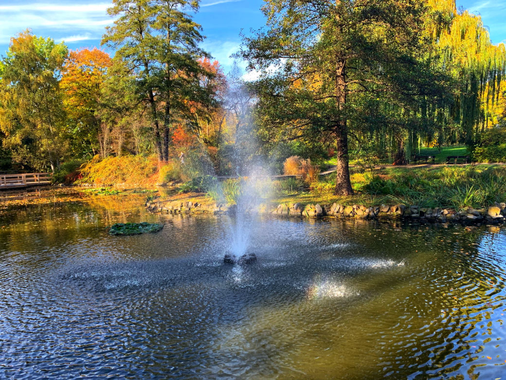 Jesień w ogrodzie botanicznym we Wrocławiu