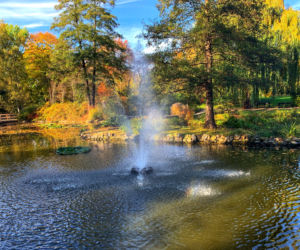 Jesień w ogrodzie botanicznym we Wrocławiu