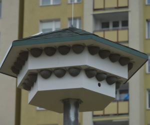 Na to wydali 50 tys. zł z budżetu obywatelskiego